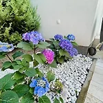 Appartement Funny Fuered *