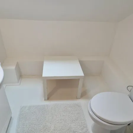 Funny Fuered 블로톤퓌레드