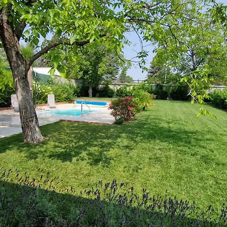 Funny Fuered Lägenhet Balatonfüred