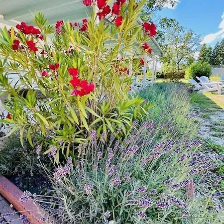 Funny Fuered 아파트