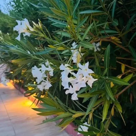 Funny Fuered 아파트