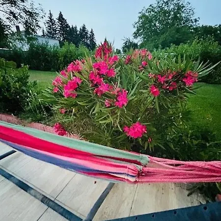 Funny Fuered Lägenhet *