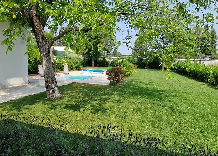 Funny Fuered Apartment Balatonfured