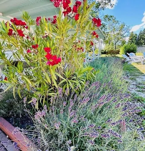 Funny Fuered Apartment