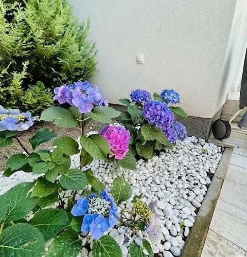 Apartment Funny Füred *