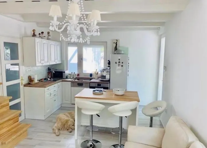 Apartment Funny Füred Balatonfüred