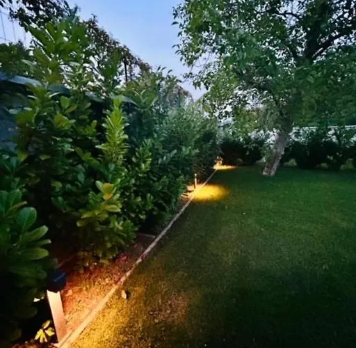 Funny Fuered Apartment