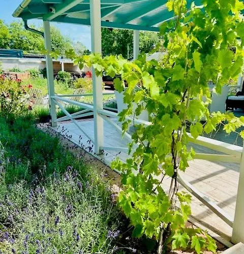 Apartment Funny Fuered